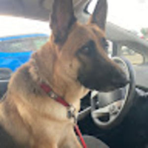 Meet your Posher, Pallavi